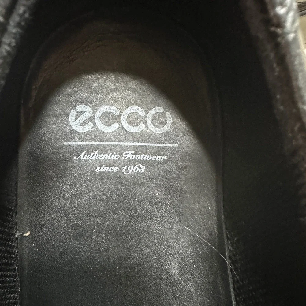 Ecco built direct